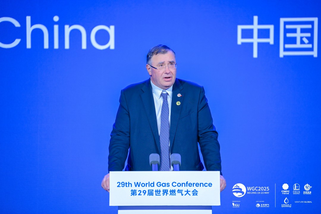 1747792080536024.jpg 新闻1 潘彦磊致辞.JPG
